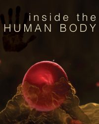 Inside the Human Body