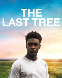 The Last Tree